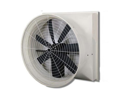 �����ؓ(f��)���L(f��ng)�C(j��)